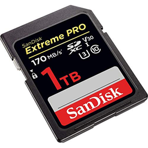 SanDisk SDSDXXY-1T00-GN4IN